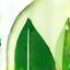 GreenThrive logo